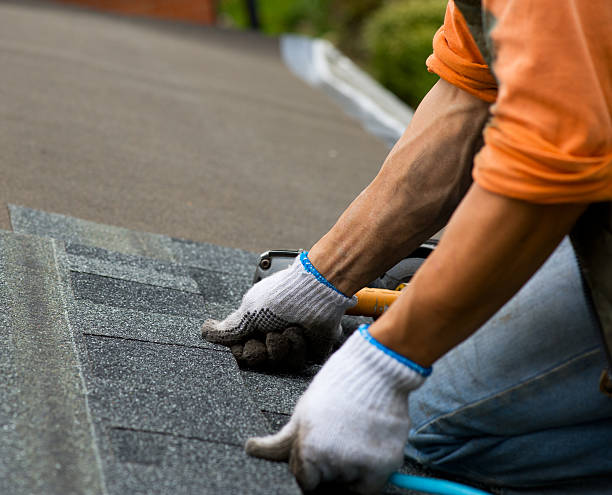 Best Flat Roof Repair Services  in Herington, KS